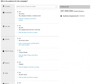 LinkedIn Targeting Options